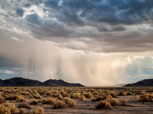 USA, California, Mojave National Preserve, Baker. Desert Rain Squall At Sunset