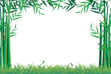Wall Mural - bamboo frame. vector bamboo tree. blank template with bamboo frame