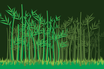 Wall Mural - vector bamboo tree. illustration of a bamboo forest. bamboo tree pattern