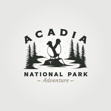 Acadia National Park Vintage Logo Vector Symbol Illustration Design, Puffin On The Stone Symbol