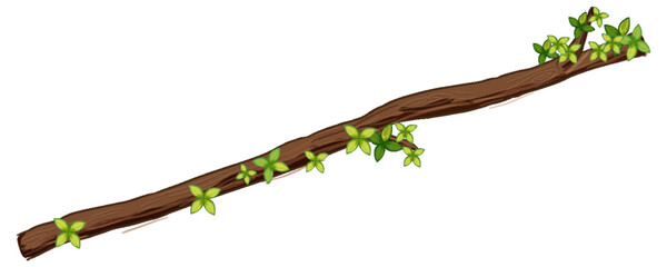 Wall Mural - tree branch isolated on white background