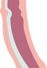 Esophagus icon