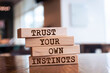 Wooden blocks with words 'Trust Your Own Instincts'.