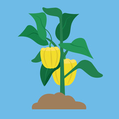 Poster - Two yellow peppers grow on the ground, illustration, vector