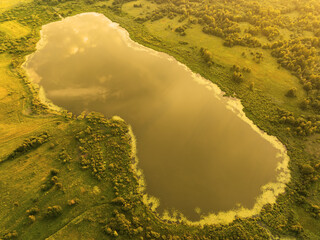 Wall Mural - Forest Lake, aerial view. Lake in swamp, drone view. Rural landscape with lakes. Forest at bog. Drink water safe. Global drought crisis. Freshwater ecosystems, wetlands and Environmental Protection.