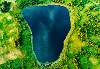 Wall Mural - Forest Lake, aerial view. Lake in swamp, drone view. Rural landscape with lakes. Forest at bog. Drink water safe. Global drought crisis. Freshwater ecosystems, wetlands and Environmental Protection.