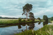 Baum mit Spiegelung an der Ems im Naturschutzgebiet im Münsterland in Nordrhein-Westfalen