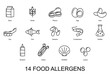 14 food allergens. Set of basic allergens icons. Vector illustration