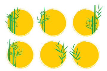 Wall Mural - bamboo vector. asian plants. illustration of japanese and chinese bamboo plants