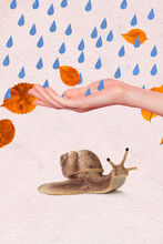 Creative Retro 3d Magazine Image Of Arm Catching Storm Drops Protecting Snail Isolated Painting Background