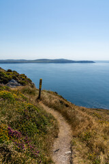 Wall Mural - hiking trail and trail marker leading along the ridge of the Sheep's Head Peninsula with a view of Bantry Bay and Mizen Head