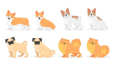 Wall Mural - Collection of dog breeds Pug, Pomeranian, French bulldog, Welsh corgi. Vector isolated animal illustration.