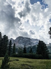 Poster - Beautiful landscape of forests on mountains on a cloudy day