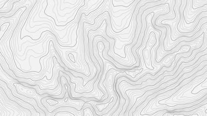 fully editable and scalable vector illustration of topographic map on a light background. great as a
