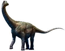 Antarctosaurus From The Cretaceous Era 3D Illustration	