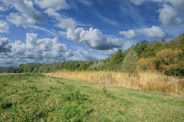 Canvas Print - Leemringveld,  Voorsterbos, Flevoland province, The Netherlands