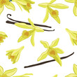 Vanilla planifolia seamless pattern vector image on white background
