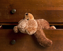 A Children's Brown Soft Toy Teddy Bear Hanging Out Of A Drawer.