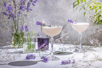 Wall Mural - Two Elegant glasses of Lavender Cocktail or mocktails surrounded by ingredients and fresh lavender and gypsophila flowers on gray table surface