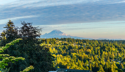 Wall Mural - Landscape With Rainier 2