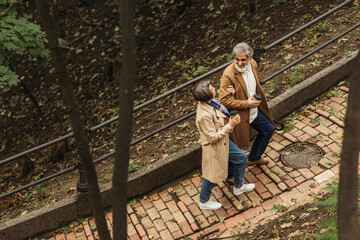 Wall Mural - high angle view of cheerful senior couple in beige coats holding paper cups while walking in park.