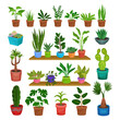 © Happypictures - House Plants Growing Indoor in Ceramic Pots on Shelf Big Vector Set