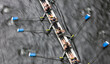 © Mint Images - Overhead view of female crew racers rowing in an octuple racing shell, an eights team.
