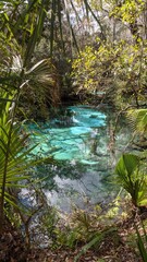 Wall Mural - Freshwater Spring