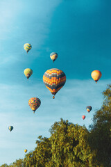 colored hot air balloons flying in the sky between trees enjoying the freedom and the landscape of nature in an incredible adventure