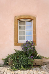  Window on pink wall with green plants and stone pavement