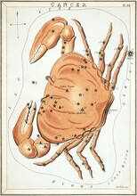 Zodiac In 1824 Urania's Mirror Cancer, Board Panels From Vectors