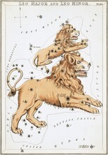 Zodiac In 1824 Urania's Mirror Leo Board Panels From Vectors