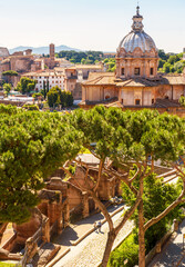 Wall Mural - Roman Forum ruins, Rome, Italy. Aerial vertical view of famous tourist attraction