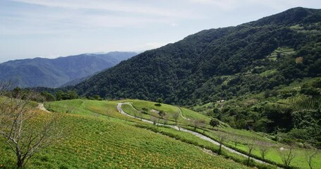 Sticker - Orange day lily flower field in Taimali Kinchen Mountain in Taitung