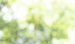 © THAWEERAT - Fresh nature green bokeh lights abstract background from nature forest out of focus. Blur park with bokeh light, nature, garden, spring and summer season. Blurred image of the natural green background