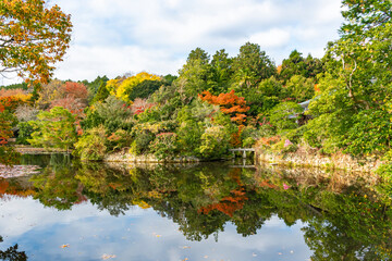 Scenic landscape of Colorful Maple Trees along Pond in the garden of Kyoto Temple, Japan