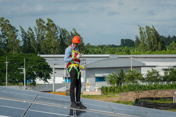 Wall Mural - Technician inspection and repair solar cell on the roof of factory,Service check installation solar cell.