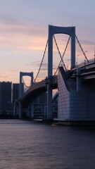 Wall Mural - Cityscape of Tokyo skyline, vertical time lapse video of office building at Tokyo bay before sunset. Japan, Asia.