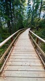 Fototapeta  - wooden bridge in the woods