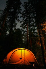 Wall Mural - tent at night