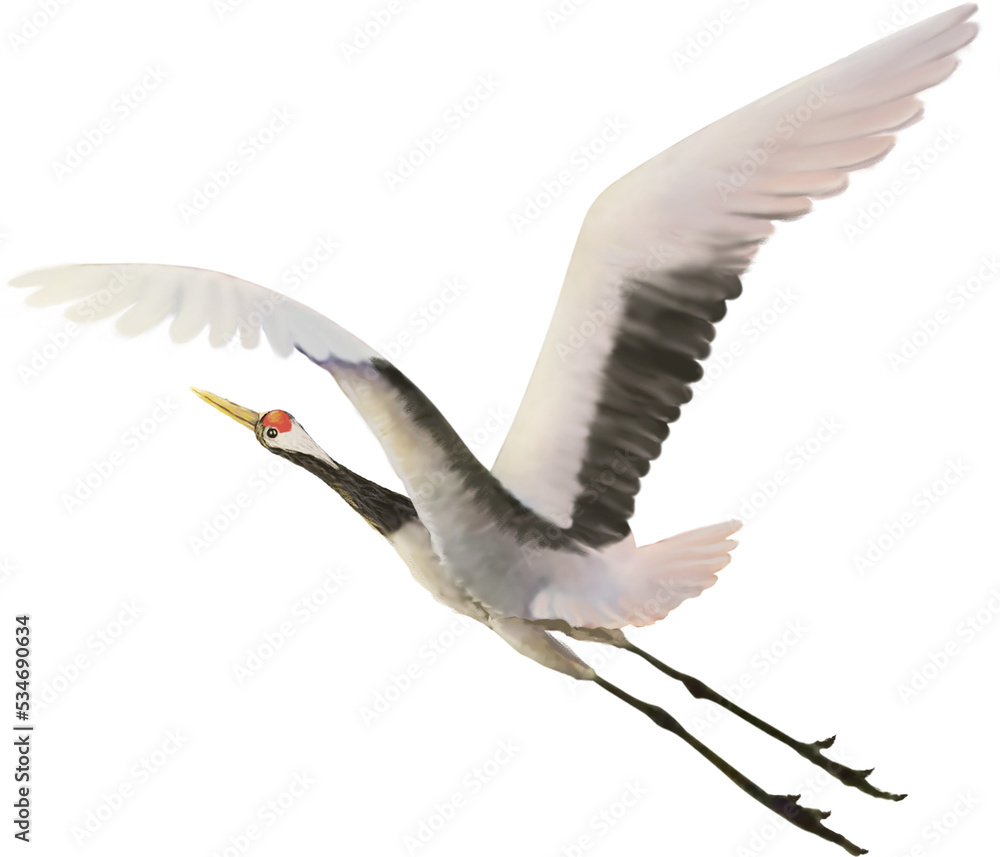 red crowned crane paint Stock Illustration | Adobe Stock