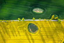 Top Down View Of Wheat And Rape Fields In Countryside.