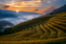 Beautiful Scenery Of Rice Terrace Fields At Mu Cang Chai In Northern Vietnam With Mist During Sunrise Time. Vietnam Landscapes.