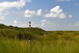 Fototapeta Natura - Ein Rot-Weißer Leuchtturm im  hohen Gras einer Küstenlandschaft und leichter Bewölkung.