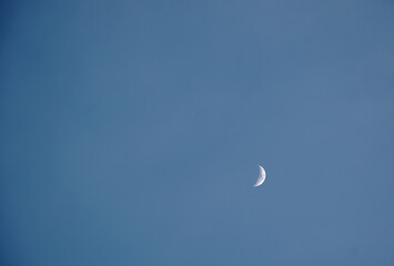 Wall Mural - half moon on blue sky in evening