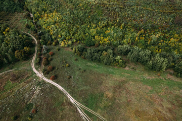 Aerial top view of the empty country road between green and yellow grass on the autumn field near the forest. Drone shot of a country road in forest.