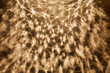 © Tetra Images - Abstract brown pattern