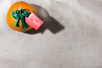 Wall Mural - autumn flat lay on grey background with pumpkins