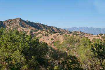 the mountains within Griffith Park Los Angeles california