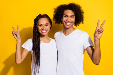 Sticker - Portrait of two positive cheerful partners arms fingers demonstrate v-sign isolated on yellow color background